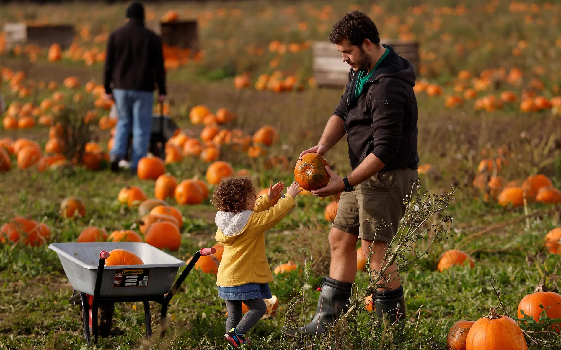 Chicos y grandes pueden disfrutar del Halloween con estos consejos que dan mamás de peques con autismo Reuters